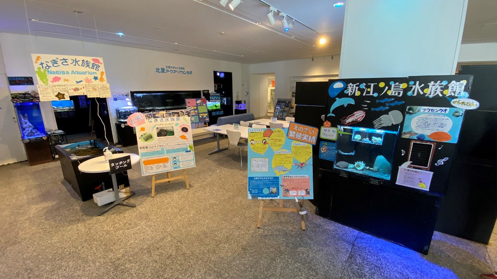 北里アクアリウムラボ